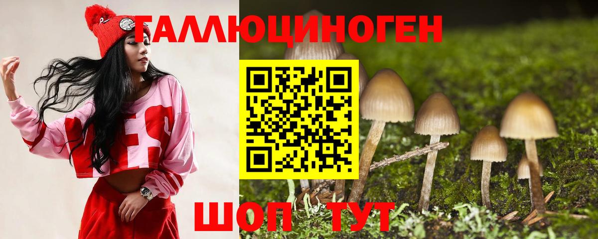 Соликамск  Псилоцибиновые грибы прущие грибы  как найти закладки  Вход с VPN  Галлюциногенные грибы GOLDEN TEACHER 