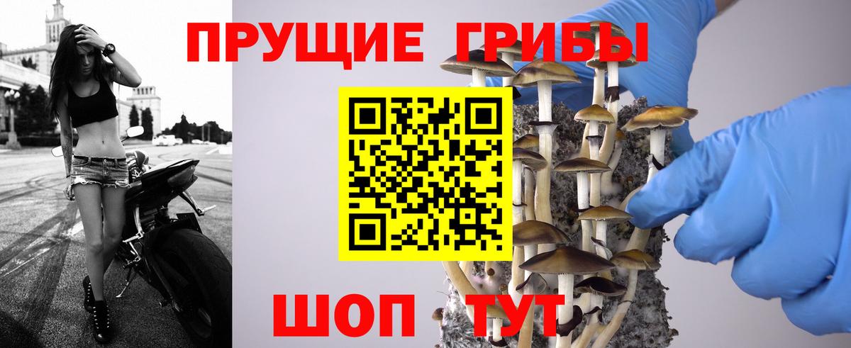 Псилоцибиновые грибы GOLDEN TEACHER Соликамск